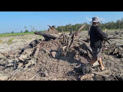 khaws taws npaj lub caij ntuj no tau rauv