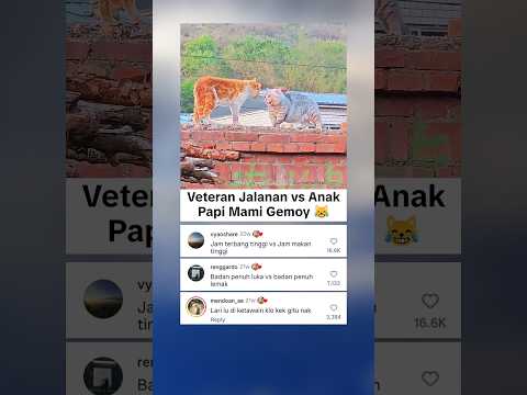 Respect Oyen Mengalah 🗿