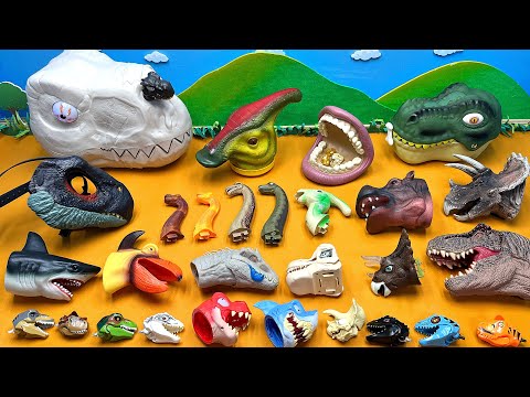 50 Dinosaur Heads Collection With Jurassic World - Tyrannosaurus Rex, Triceratops, Brachiosaurus
