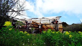 Himalayan shepherd life of Nepal || life in the Himalayan Nepal || rural Nepal