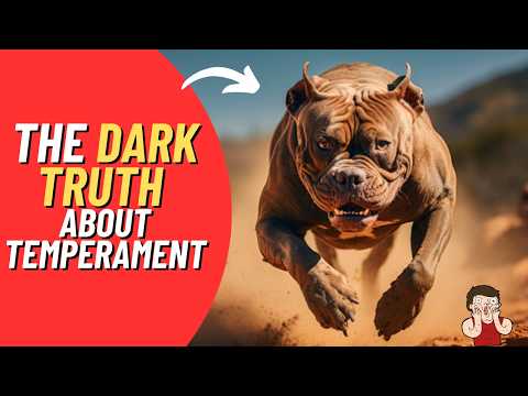 The Shocking Truth About Pit Bull Temperament Everyone Needs to Know!