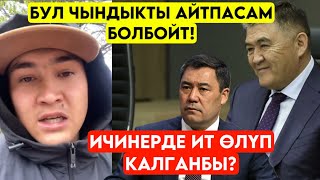 Агынан жарылып! Ичинерде ИТ ӨЛҮП калыптыр! Токтоткула мындайды деп БААРЫН ачык айттып салды 