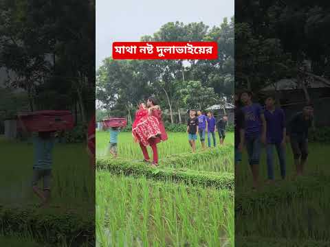 দুলাভাইয়ের মাথা নষ্ট #shorts #shortvideo #shortsviral #funnyshorts #funnyvideos