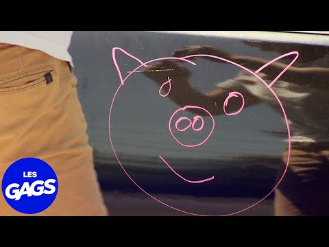 Un cochon sur la voiture de police... | Juste Pour Rire Les Gags