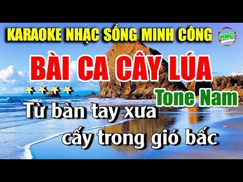 Bài Ca Cây Lúa Karaoke Nhạc Sống Tone Nam Hay Nhất – Nhạc Sống Minh Công