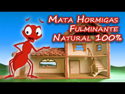 Mata Hormigas Rápido y Natural | Sin Insecticidas Tóxicos