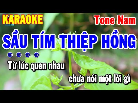 Karaoke Sầu Tím Thiệp Hồng Tone Nam Nhạc Sống Dễ Hát Nhất 2024 | Thanh Hải Karaoke