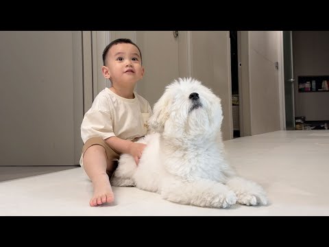 [VLOG] 말은 안 통해도 마음은 통해🐶👶🏻