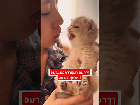 เล่นตัว