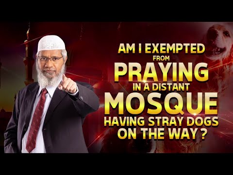 Am I Exempted From Praying In A Distant Mosque Having Stray Dogs On The Way - Dr Zakir Naik