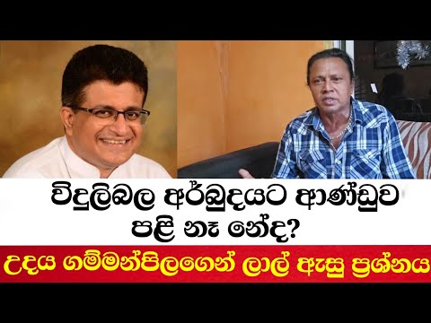 විදුලිබල අර්බුදයට ආණ්ඩුව පළි නෑ නේද? උදය ගම්මන්පිලගෙන් ලාල් ඇසු ප්‍රශ්නය