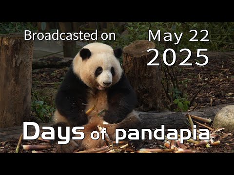 20250522 Broadcast Top Highlights 08