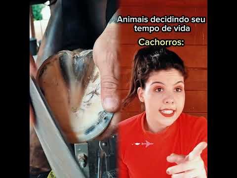 Immigration only suffers...🪰😰#foryou#fy#humor#humorviral#biologia#escola#amigos#humor#comedy#funny