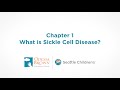 Sickle Cell Disease Overview
