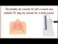Respiratory Rate and Conditions