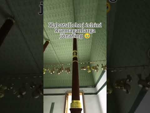 6 ноября 2024 г.