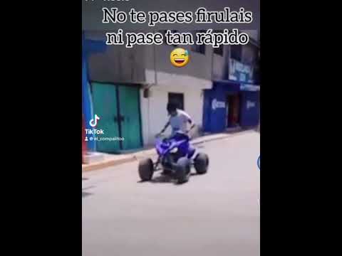 Firulais, también no exageres!                      #shorts #youtubeshorts #viralvideo #short