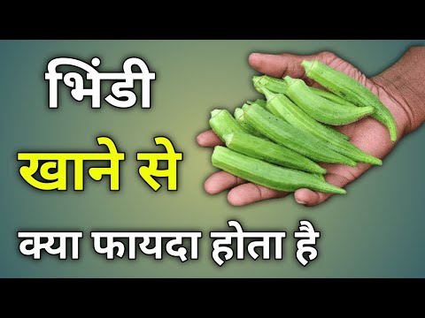 bhindi khane ke kya fayde hote hain, bhindi khane se kya hota hai