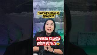 Misteri Buaya Putih di Kali Jagir Surabaya! Banyak yang jadi korban??