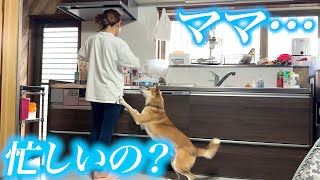 忙しいあいるんに労いのプレゼント