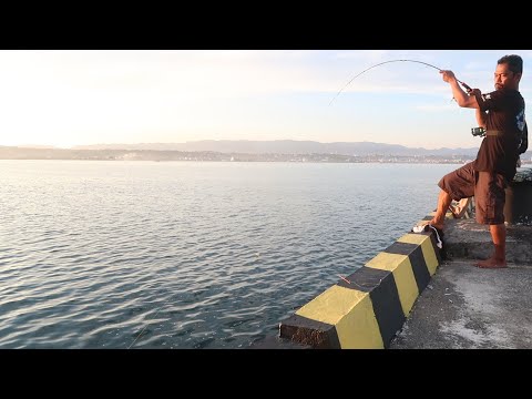 Jadi Kaget Saat Pancing Di Tarik Ikan Sidat Purba