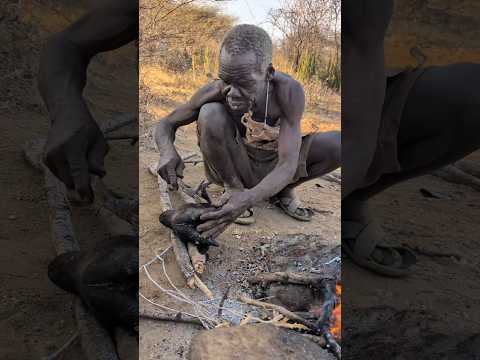 It's Lunchtime See How bushman survives in Forest without any supplies for food just from Nuture
