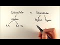 Enzymes: Intracellular and Extracellular