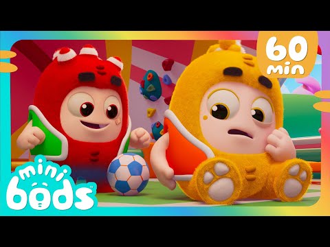 Minibods Football Challenge! | 30 Minutes of Minibods | Funny Stories | Preschool Cartoons