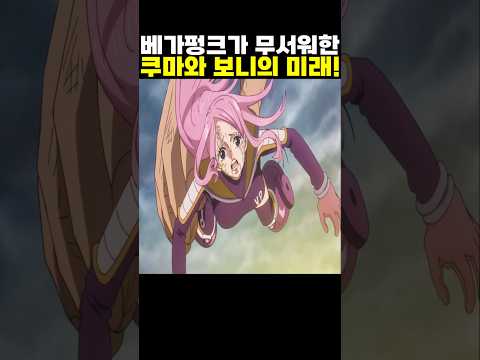 👉베가펑크가 무서워한 쿠마와 보니의 미래! #onepiece #원피스
