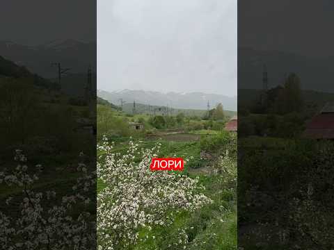 🤔Как живут молокане в Армении?