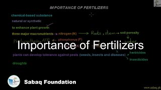 Importance of Fertilizers