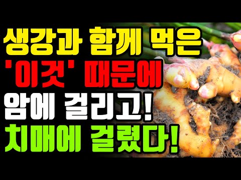 생강과 절대로 함께 먹지마세요! 암과 치매에 걸릴 수 있습니다! 생강 최악의 궁합인 3가지와 만성 염증과 독소 싹 빼주는 환절기 면역력 최고의 레시피 [겨울 차 건강 효능 불면증]