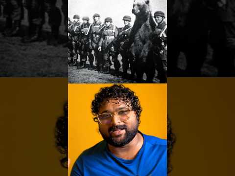 ജീവിക്കാൻ വേണ്ടി പട്ടാളത്തിൽ ചേർന്ന കരടി സർ 😬👉