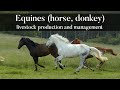 Equine Knowledge Assessment