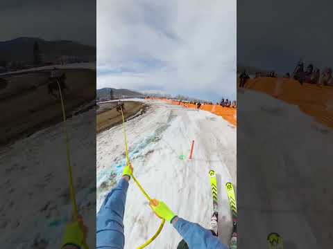 @jimmiryan was built for skijoring 😮 #Shorts