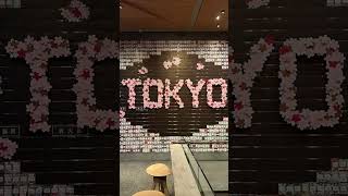 Época de sakura - 桜の季節 #shorts