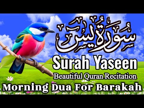 Surah Yasin (Yaseen) || سورہ یس 36 || Surah Yasin Full 7th Time || Morning Dua For Barakah || EP-033