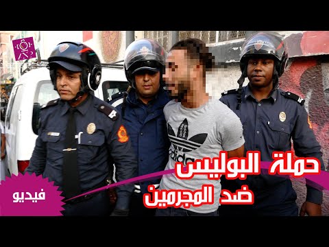كلاب, اسلحة ومخدرات حملة بوليسية لمحاربة الجريمة
