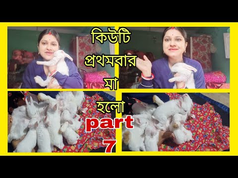 কিউটি প্রথমবার মা হল part-7 newborn rabbit baby and mom // খরগোশের মা এবং বাচ্চাদের জন্মাবার কাহিনী🐰