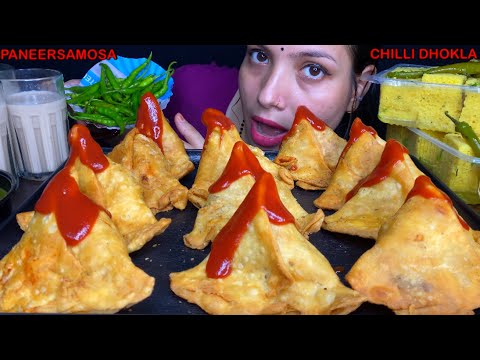 Eating Spicy🔥 Malai Paneer Samosa, Macaroni Samosa, Chowmin Samosa, Pizza Samosa, Dhokla Chilli