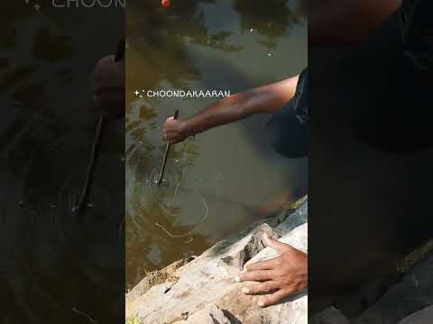 മീനെ കാണാതെ കിട്ടി 😱😱