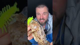 Скорпид една от най-отровните риби в черно море! #twitchfishing #twitchfishingshop