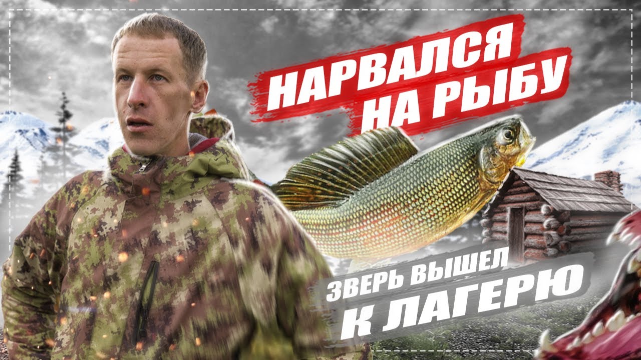 Ночью дикий зверь пришел к лагерю - удочка своими руками
