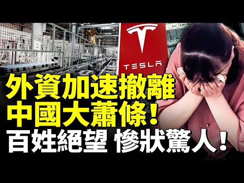 特斯拉和中國脫鉤 外資加速撤離！中國大蕭條！百姓絕望 慘狀驚人！　#看大陸