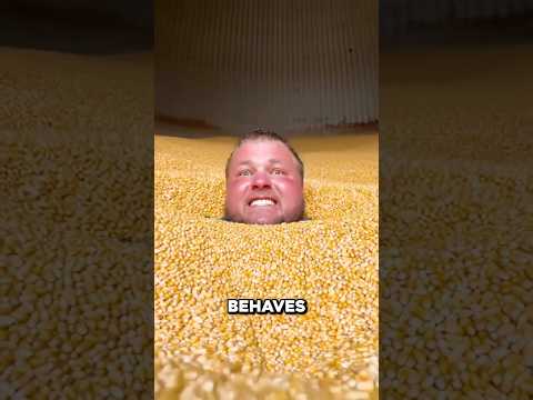 How to Survive Falling into a Grain Silo