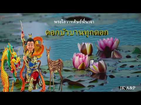 ดอกบัวบานทุกดอก jantra srithawatpong ดอกบัวบานทุกดอก