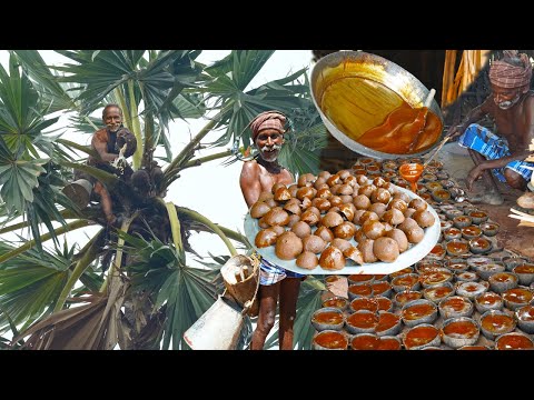பனை மரம் ஏறி பதநீர் எடுத்து கருப்பட்டி செய்முறை | PALM JAGGERY MAKING |GRANDPA'S Traditional Process