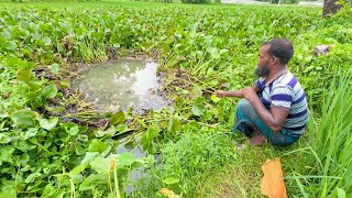 Fishing Video || Three expert fisherman fishing happily in the field canal using hook | (Part-2)