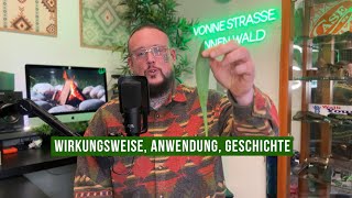 Spitzwegerich - Meine liebste Heilpflanze