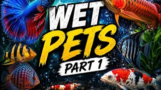 😱 Amazing Exotic Fish Varieties in One Tank! 🐠